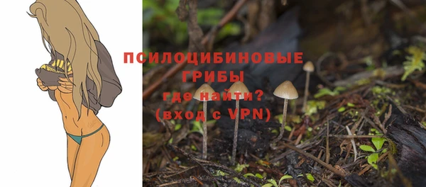 СК Абаза