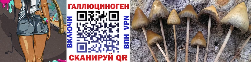 KRAKEN рабочий сайт  Чебаркуль  Псилоцибиновые грибы Psilocybe  сколько стоит 