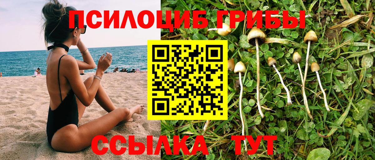 Чебаркуль  Псилоцибиновые грибы GOLDEN TEACHER  Вход с VPN  Галлюциногенные грибы MAGIC MUSHROOMS 